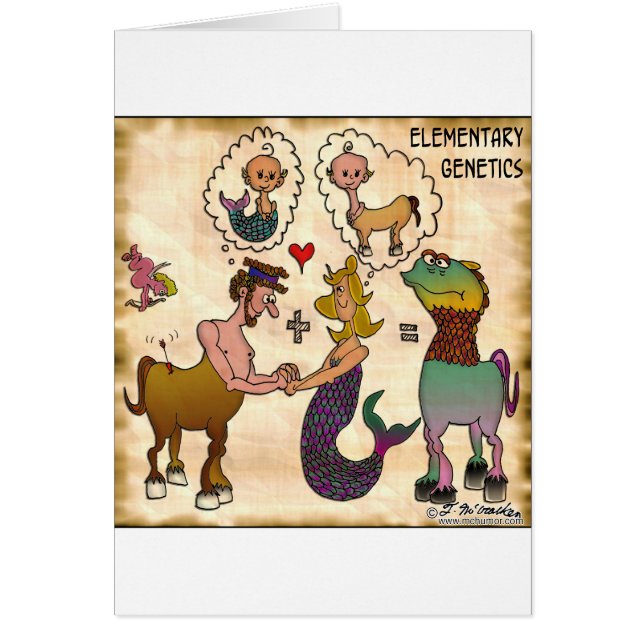 Grundlegende Genetik (Vorne)