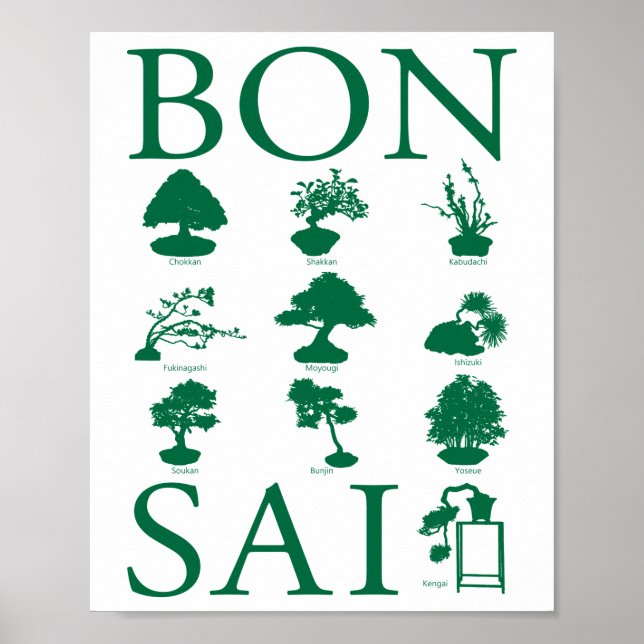 Grundlegende Stile von Bonsai Tree Poster (Vorne)
