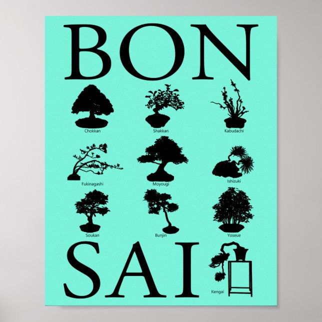 Grundlegende Stile von Bonsai Tree Poster (Vorne)