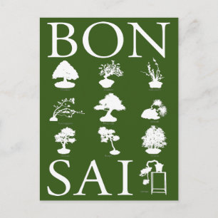 Grundlegende Stile von Bonsai Tree Postkarte