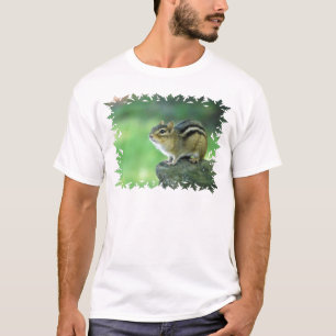 Grundlegende T - Shirt-Schablone - besonders T-Shirt