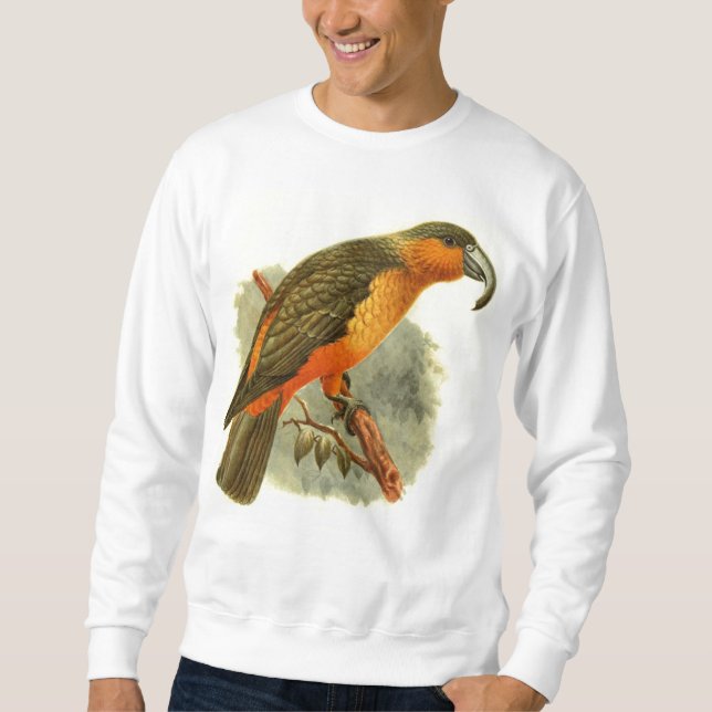 Grundlegendes Sweatshirt Nestors Norfolcensis (Vorderseite)