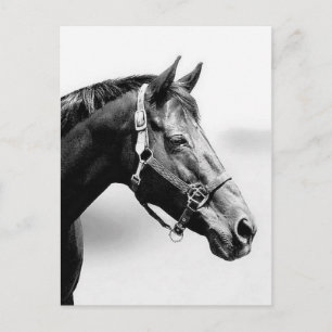 gründlich postkarte