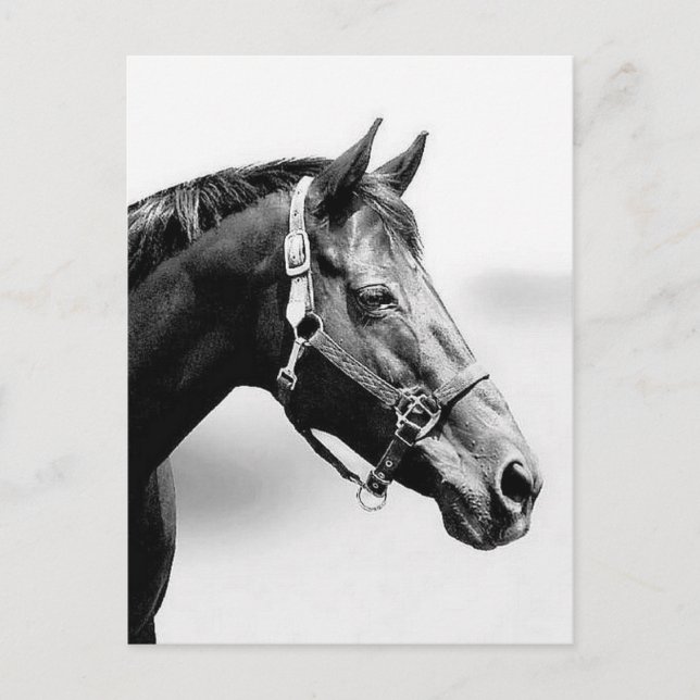 gründlich postkarte (Vorderseite)