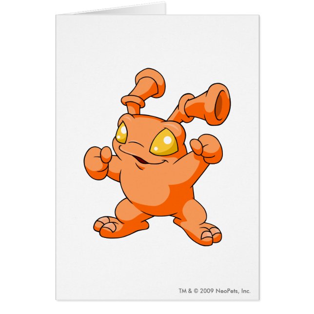 Grundo Orange (Vorne)