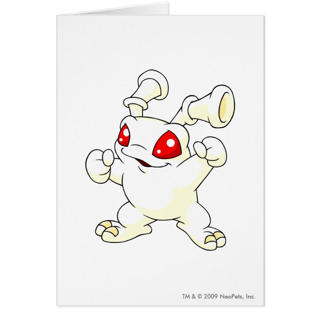 Grundo Weiß (Vorne)