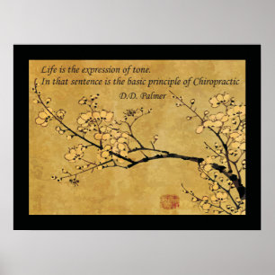 Grundsatz des Chiropraktischen Gesundheitsziels Poster