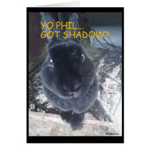 Grundschwein-Tag/Ostern-Karte