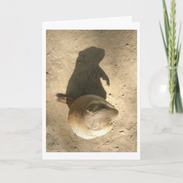 Grundschwein-Tageskarte Karte (Vorderseite)