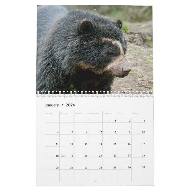 Gründungskalender der Anden Bear Foundation 2013 Kalender (Jan 2026)