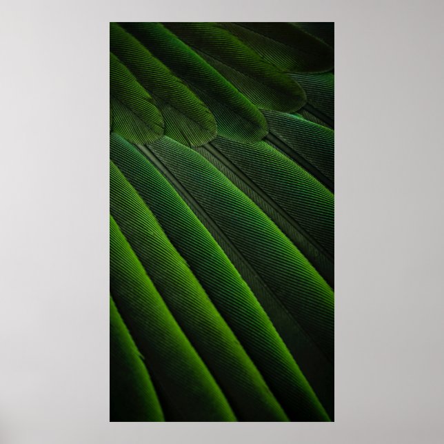 Grüne 3D-Tapete Poster (Vorne)