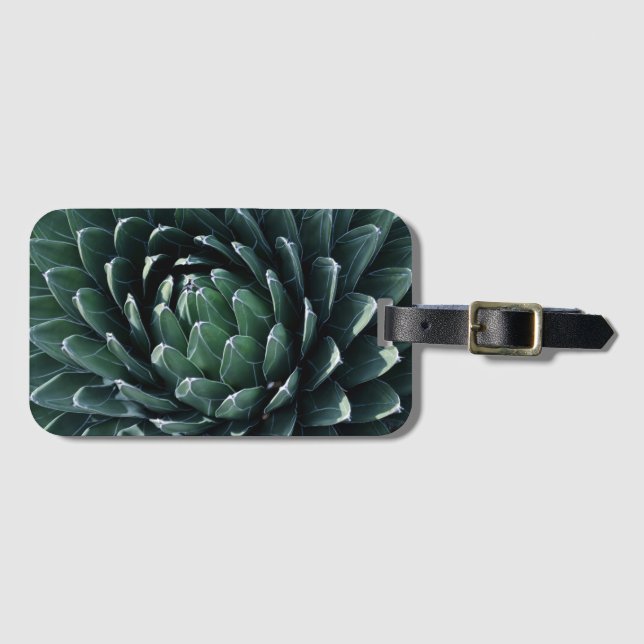 Grüne Agave Gepäckanhänger (Vorderseite (Horizontal))