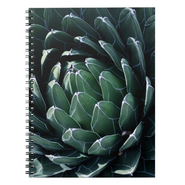 Grüne Agave Notizblock (Vorderseite)