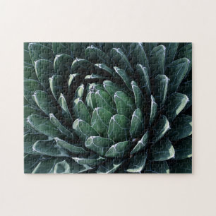 Grüne Agave Puzzle
