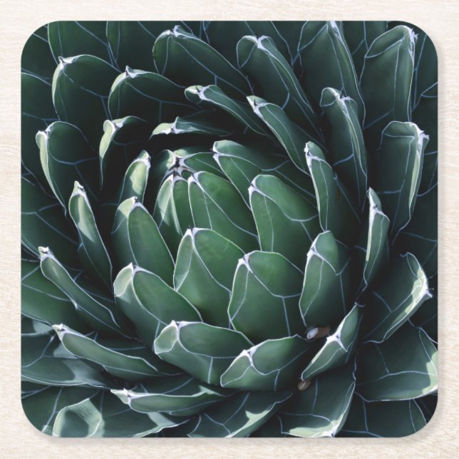 Grüne Agave Rechteckiger Pappuntersetzer (Vorderseite)