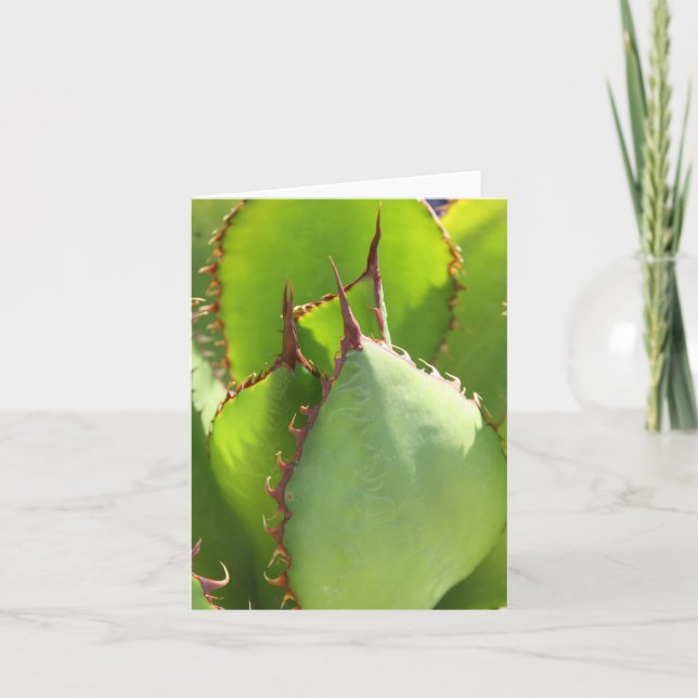 Grüne Akave Notecard Karte (Vorderseite)