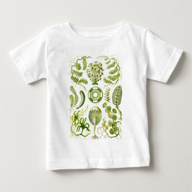 Grüne Algen Baby T-shirt (Vorderseite)