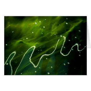 Grüne Algen und Wasser Gccn