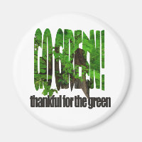 Grüne alte Bäume dicken Zweige grün und Sonne gehe