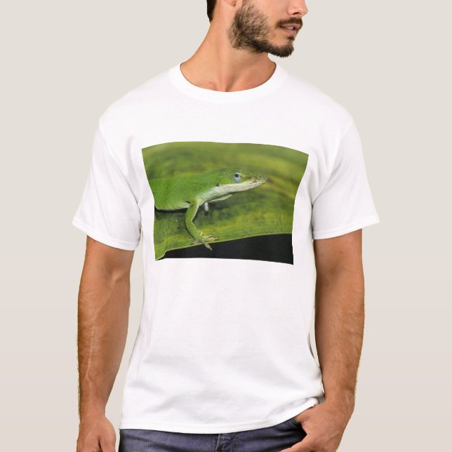 Grüne Anole, Anolis carolinensis, erwachsen auf Pa T-Shirt (Vorderseite)