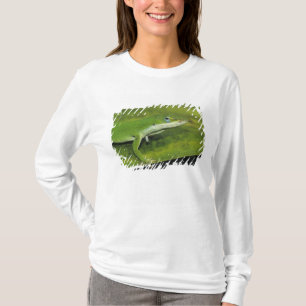 Grüne Anole, Anolis carolinensis, erwachsen auf Pa T-Shirt
