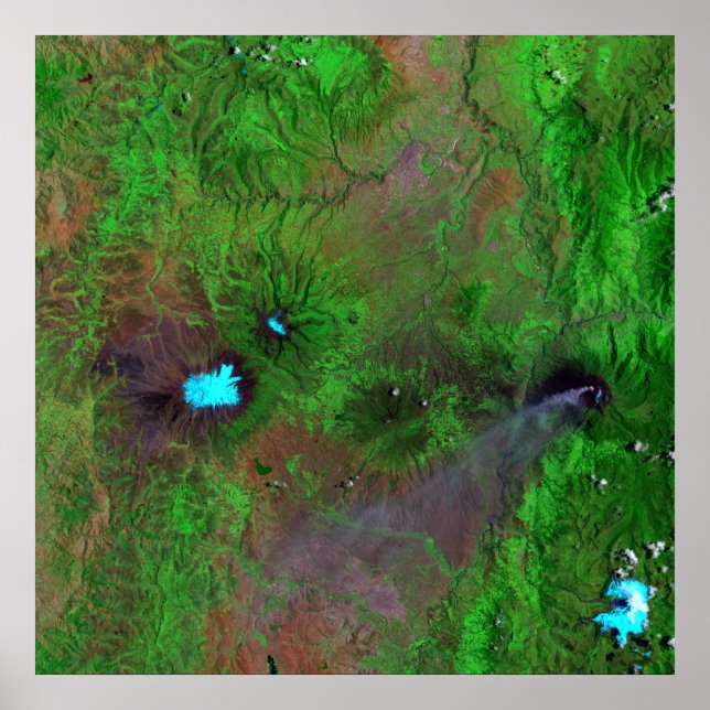 Grüne Ansicht Poster (Vorne)