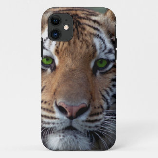 Grüne Augen Bengel Tigers iPhone 11 Hülle
