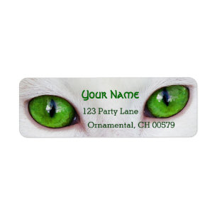Grüne Augen der Miezekatze