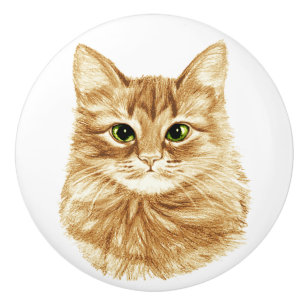 Grüne Augen-Ingwer-Katzen-Fach zieht Griffe