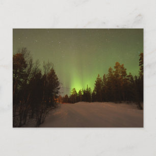 Grüne Aurora Borealis über schneebedecktem Wald Postkarte
