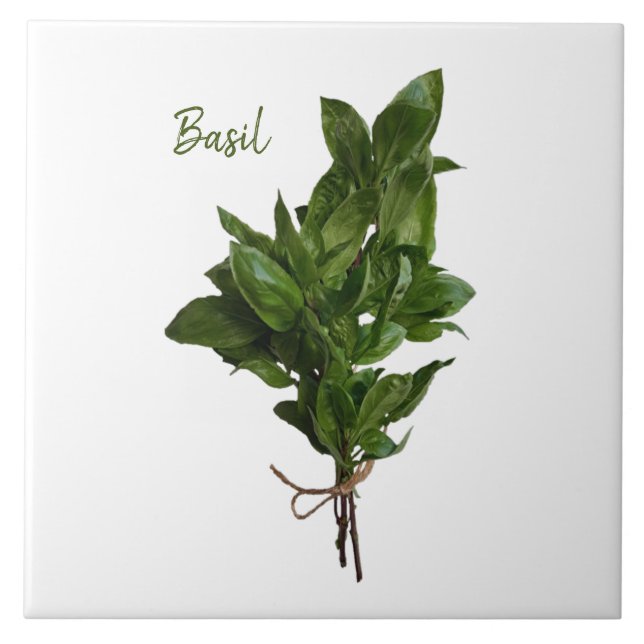 Grüne Basil Herb Keramik Tile Fliese (Vorderseite)