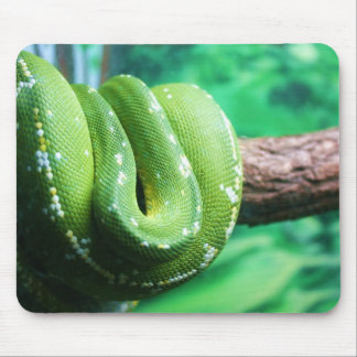 Grüne Baum-Pythonschlange Mousepad