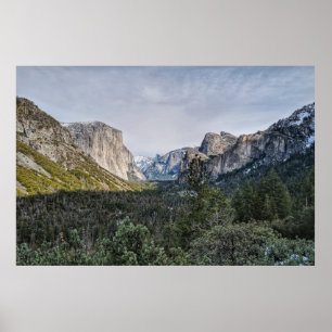 GRÜNE BÄUME IN DER NÄHE DES BERGES UNTER DEM SCHÖN POSTER