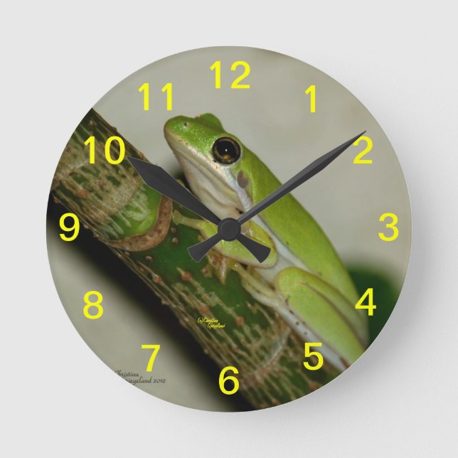Grüne Baumfrosch Wanduhr (Vorderseite)