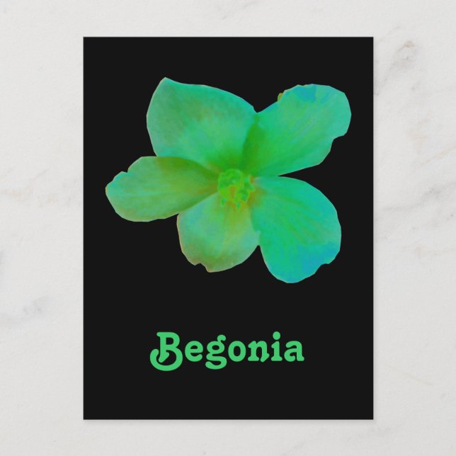 Grüne Begonia individuell anpassbare Postkarte (Vorderseite)