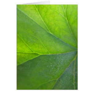 Grüne Blatt-Karte