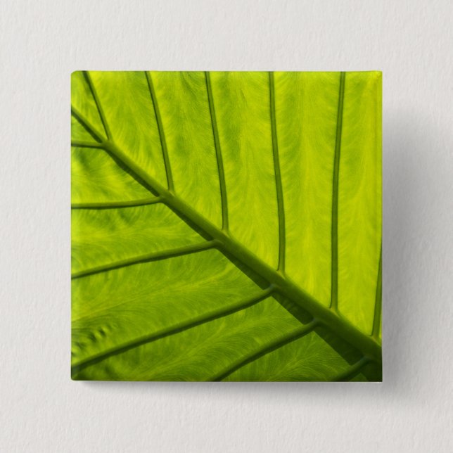 Grüne Blätter aus tropischem Blattwerk in 2 Button (Vorderseite)
