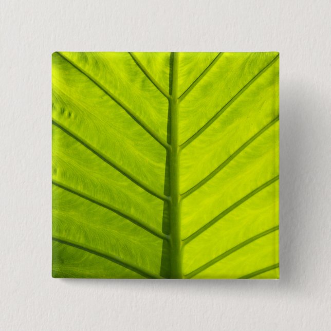 Grüne Blätter aus tropischem Blattwerk in Button (Vorderseite)