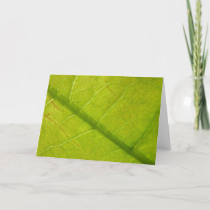 Grüne Blätter Botanische Naturfotografie Karte