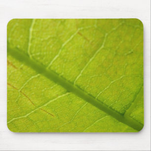 Grüne Blätter Botanische Naturfotografie Mousepad