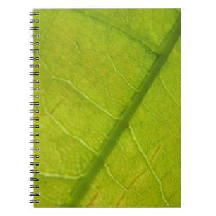 Grüne Blätter Botanische Naturfotografie Notizblock
