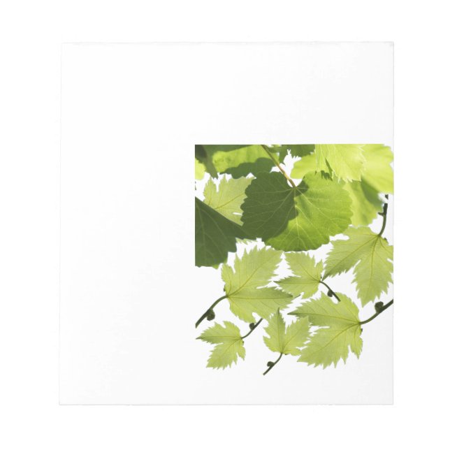 Grüne Blätter des Weinstocks Notizblock (Vorderseite)