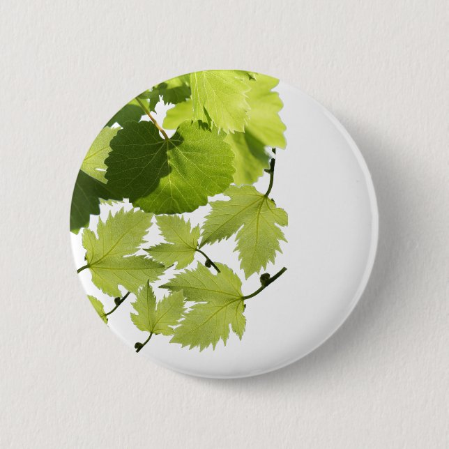 Grüne Blätter für Weintrauben Button (Vorderseite)