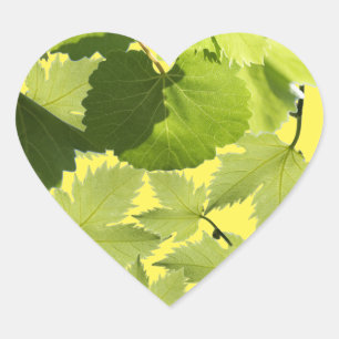 Grüne Blätter für Weintrauben Herz-Aufkleber