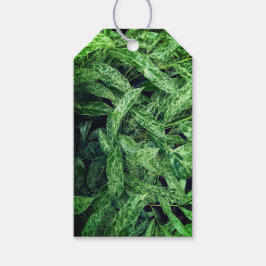 Grüne Blätter Geschenkanhänger