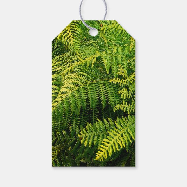 Grüne Blätter Geschenkanhänger (Vorderseite)