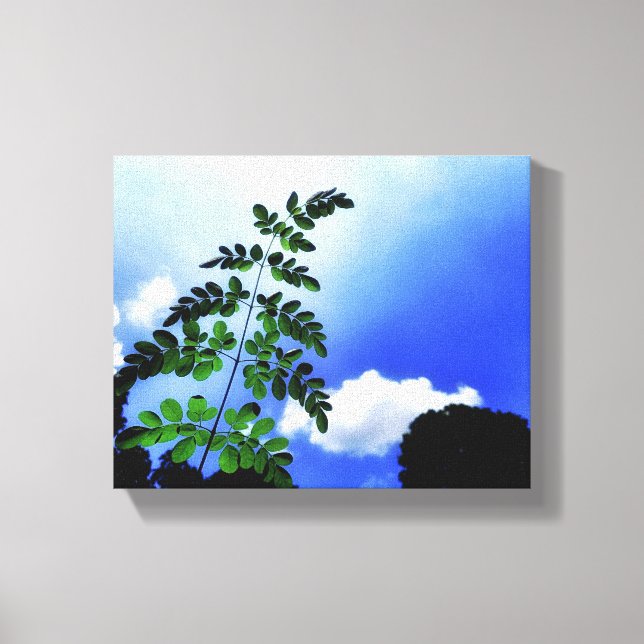 Grüne Blätter, Himmel und Wolkenhintergrund Leinwanddruck (Vorderseite)