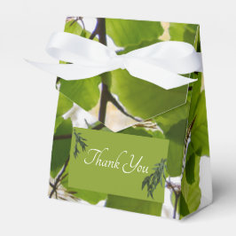 Grüne Blätter Hochzeitszelt Geschenkschachtel