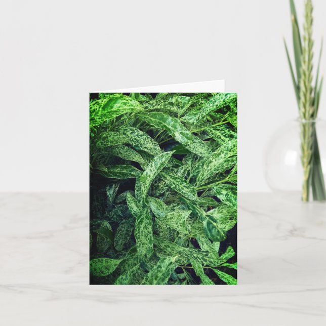 Grüne Blätter Karte (Vorderseite)