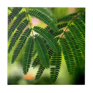 Grüne Blätter Keramik Tile Fliese